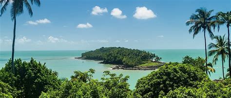 Devils' Island! A Gripping Tale of Wrongful Conviction and the Rugged Landscape of French Guiana